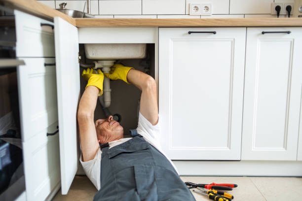 Best Plumbing Repair Near Me  in Ashville, OH